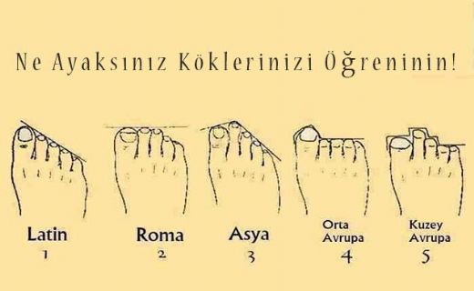 Ayak Çeşitleri Nelerdir?