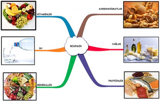 Besin Çeşitleri Nelerdir?