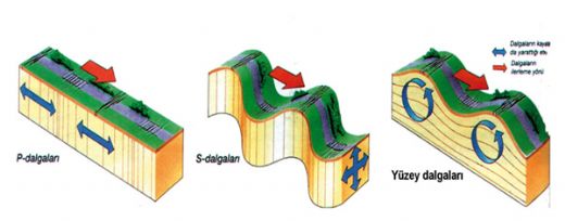 Dalga Çeşitleri Nelerdir?
