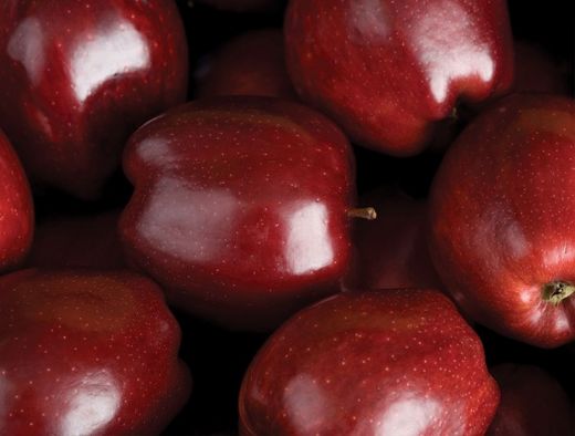 Elma Çeşitleri Nelerdir?