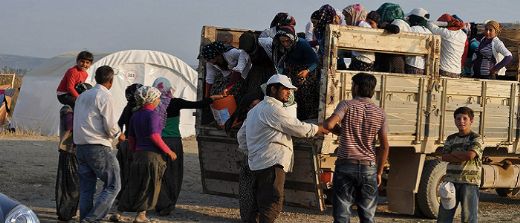 Göç Çeşitleri Nelerdir?