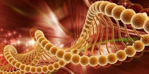 Kanser Çeşitleri Nelerdir?