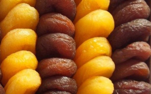 Kayısı Çeşitleri Nelerdir?