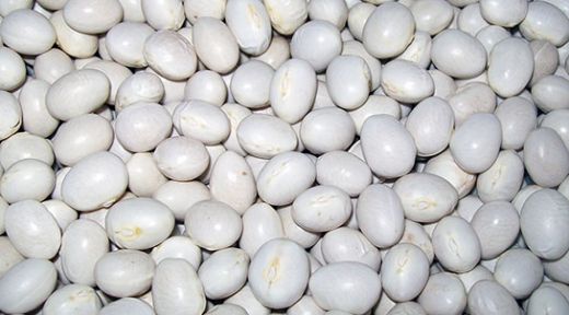 Kuru Fasulye Çeşitleri Nelerdir?