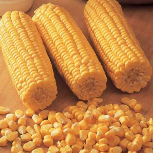 Mısır Çeşitleri Nelerdir?