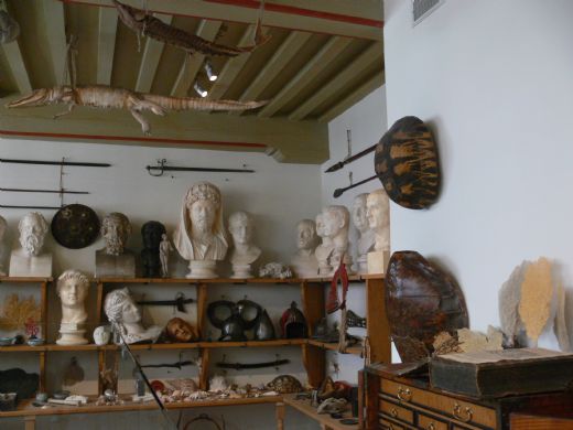 Müze Çeşitleri Nelerdir?