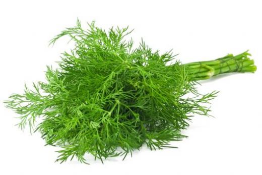 Ot Çeşitleri Nelerdir?