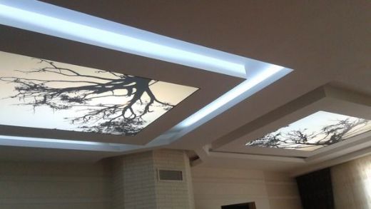 Tavan Çeşitleri Nelerdir?