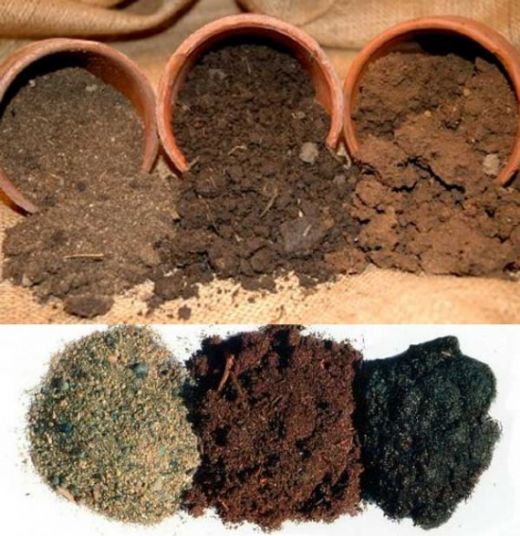 Toprak Çeşitleri Nelerdir?