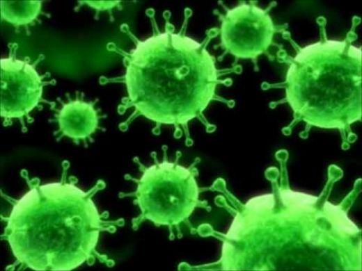 Virüs Çeşitleri Nelerdir?