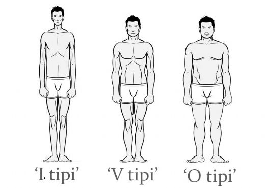 Vücut Çeşitleri Nelerdir?